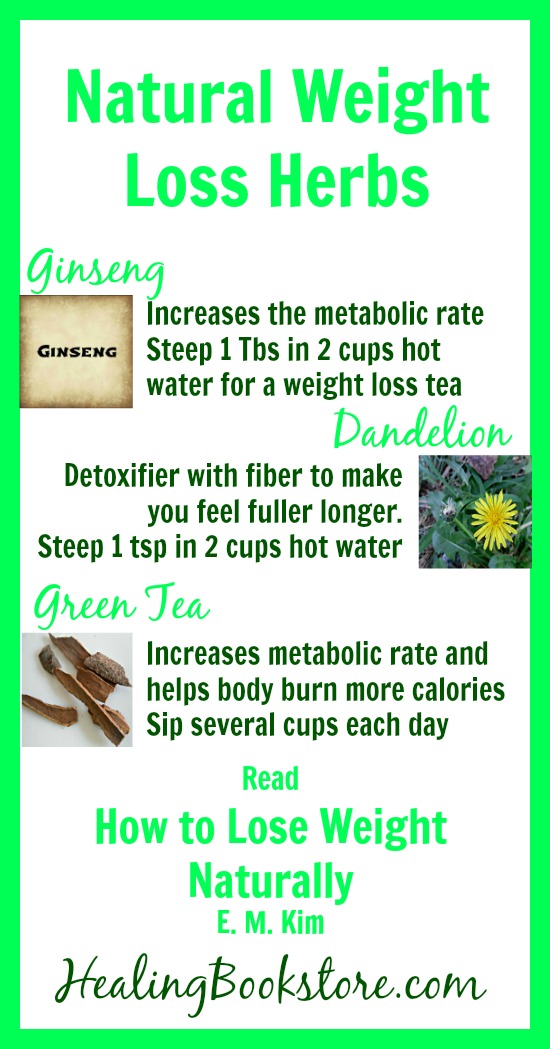 Herbs for Natural Weight Loss Infographic Healing Bookstore