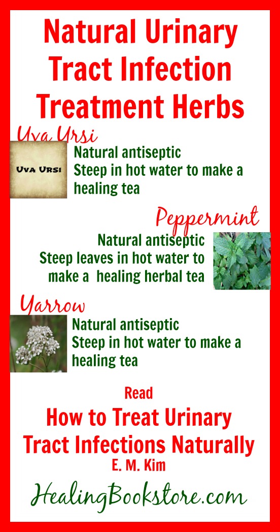 Herbs for Natural Urinary Tract Infection Treatment Infographic